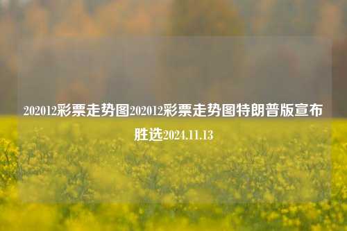 202012彩票走势图202012彩票走势图特朗普版宣布胜选2024.11.13