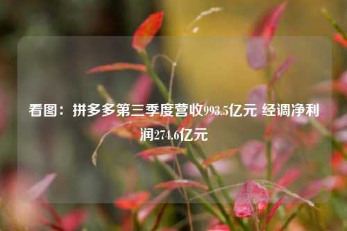 看图：拼多多第三季度营收993.5亿元 经调净利润274.6亿元