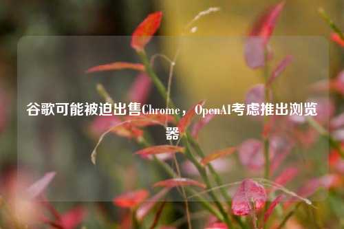 谷歌可能被迫出售Chrome，OpenAI考虑推出浏览器