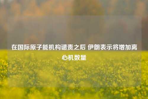 在国际原子能机构谴责之后 伊朗表示将增加离心机数量