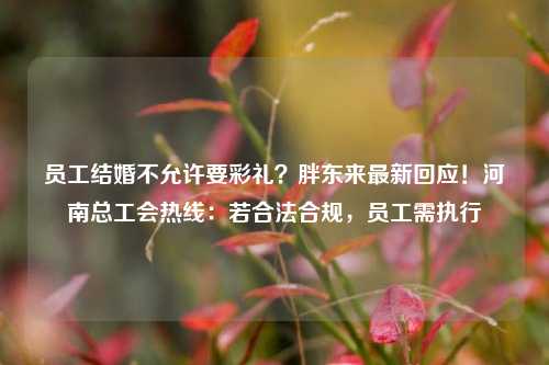 员工结婚不允许要彩礼？胖东来最新回应！河南总工会热线：若合法合规，员工需执行