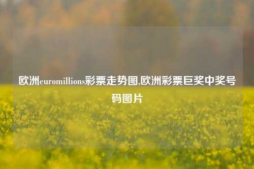 欧洲euromillions彩票走势图,欧洲彩票巨奖中奖号码图片