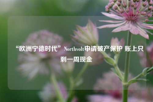 “欧洲宁德时代”Northvolt申请破产保护 账上只剩一周现金