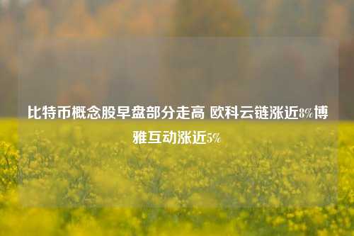 比特币概念股早盘部分走高 欧科云链涨近8%博雅互动涨近5%