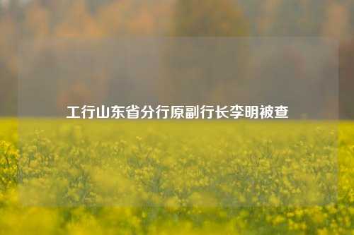 工行山东省分行原副行长李明被查