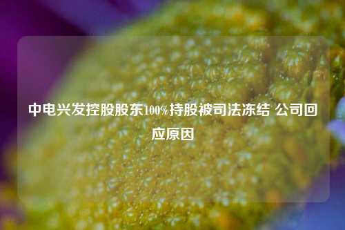 中电兴发控股股东100%持股被司法冻结 公司回应原因