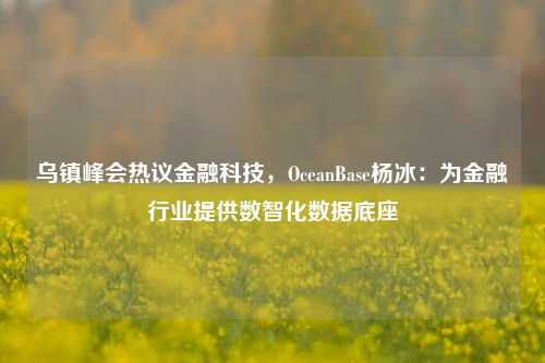 乌镇峰会热议金融科技，OceanBase杨冰：为金融行业提供数智化数据底座