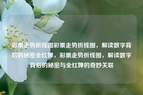 彩票走势折线图彩票走势折线图，解读数字背后的秘密全红婵，彩票走势折线图，解读数字背后的秘密与全红婵的奇妙关联