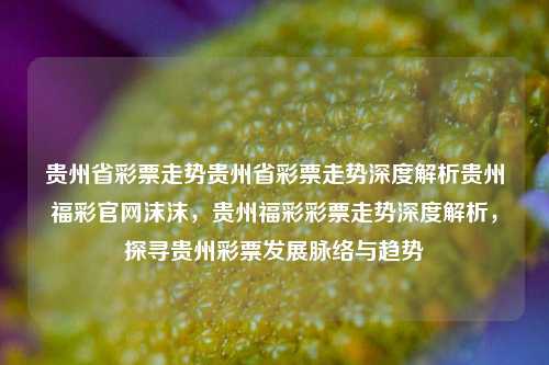 贵州省彩票走势贵州省彩票走势深度解析贵州福彩官网沫沫，贵州福彩彩票走势深度解析，探寻贵州彩票发展脉络与趋势