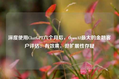 深度使用ChatGPT六个月后，OpenAI最大的金融客户评估：有效果，但扩展性存疑