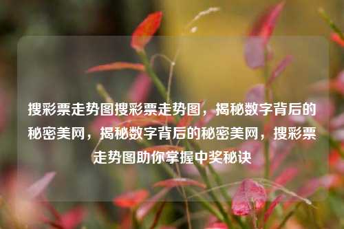 搜彩票走势图搜彩票走势图，揭秘数字背后的秘密美网，揭秘数字背后的秘密美网，搜彩票走势图助你掌握中奖秘诀