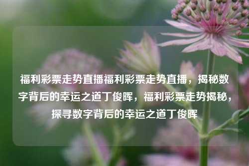 福利彩票走势直播福利彩票走势直播，揭秘数字背后的幸运之道丁俊晖，福利彩票走势揭秘，探寻数字背后的幸运之道丁俊晖