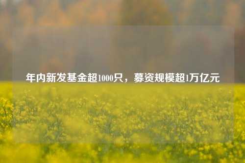 年内新发基金超1000只，募资规模超1万亿元