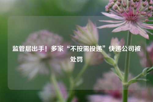 监管层出手！多家“不按需投递”快递公司被处罚