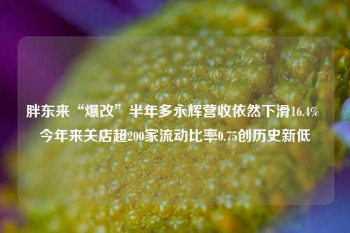 胖东来“爆改”半年多永辉营收依然下滑16.4% 今年来关店超200家流动比率0.75创历史新低