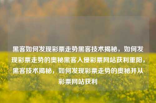 黑客如何发现彩票走势黑客技术揭秘，如何发现彩票走势的奥秘黑客入侵彩票网站获利重阳，黑客技术揭秘，如何发现彩票走势的奥秘并从彩票网站获利