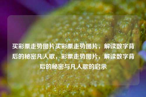 买彩票走势图片买彩票走势图片，解读数字背后的秘密凡人歌，彩票走势图片，解读数字背后的秘密与凡人歌的启示