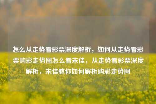 怎么从走势看彩票深度解析，如何从走势看彩票购彩走势图怎么看宋佳，从走势看彩票深度解析，宋佳教你如何解析购彩走势图