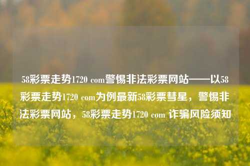 58彩票走势1720 com警惕非法彩票网站——以58彩票走势1720 com为例最新58彩票彗星，警惕非法彩票网站，58彩票走势1720 com 诈骗风险须知