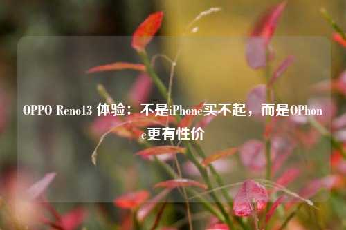 OPPO Reno13 体验：不是iPhone买不起，而是OPhone更有性价