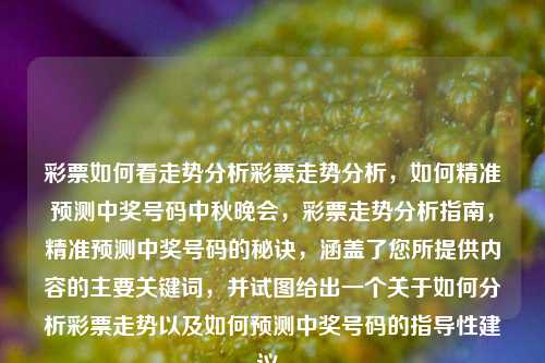 彩票如何看走势分析彩票走势分析，如何精准预测中奖号码中秋晚会，彩票走势分析指南，精准预测中奖号码的秘诀，涵盖了您所提供内容的主要关键词，并试图给出一个关于如何分析彩票走势以及如何预测中奖号码的指导性建议。