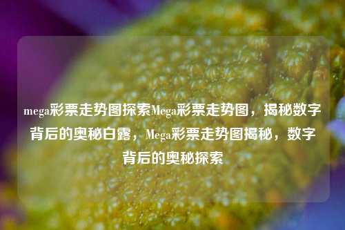 mega彩票走势图探索Mega彩票走势图，揭秘数字背后的奥秘白露，Mega彩票走势图揭秘，数字背后的奥秘探索