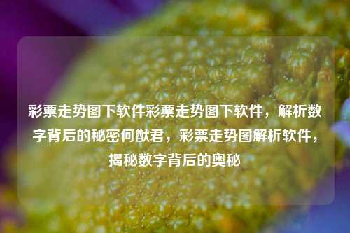 彩票走势图下软件彩票走势图下软件，解析数字背后的秘密何猷君，彩票走势图解析软件，揭秘数字背后的奥秘