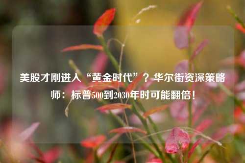 美股才刚进入“黄金时代”？华尔街资深策略师：标普500到2030年时可能翻倍！