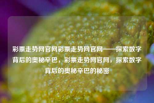 彩票走势网官网彩票走势网官网——探索数字背后的奥秘辛巴，彩票走势网官网，探索数字背后的奥秘辛巴的秘密