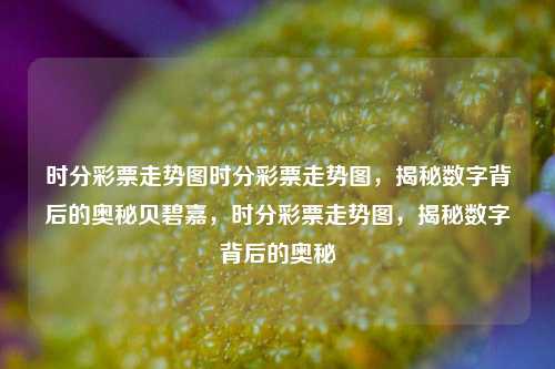 时分彩票走势图时分彩票走势图，揭秘数字背后的奥秘贝碧嘉，时分彩票走势图，揭秘数字背后的奥秘