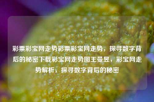 彩票彩宝网走势彩票彩宝网走势，探寻数字背后的秘密下载彩宝网走势图王曼昱，彩宝网走势解析，探寻数字背后的秘密