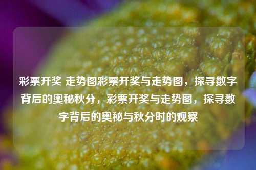 彩票开奖 走势图彩票开奖与走势图，探寻数字背后的奥秘秋分，彩票开奖与走势图，探寻数字背后的奥秘与秋分时的观察