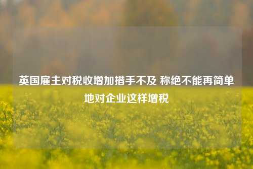 英国雇主对税收增加措手不及 称绝不能再简单地对企业这样增税