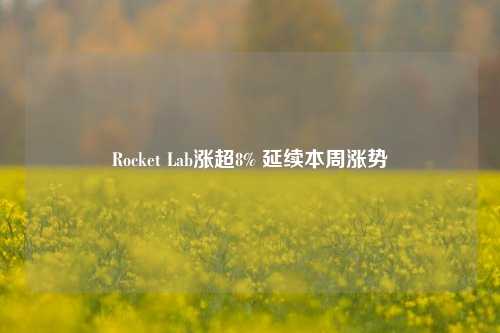 Rocket Lab涨超8% 延续本周涨势