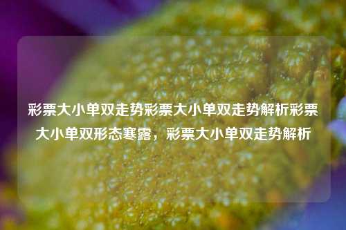 彩票大小单双走势彩票大小单双走势解析彩票大小单双形态寒露，彩票大小单双走势解析