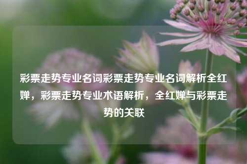 彩票走势专业名词彩票走势专业名词解析全红婵，彩票走势专业术语解析，全红婵与彩票走势的关联