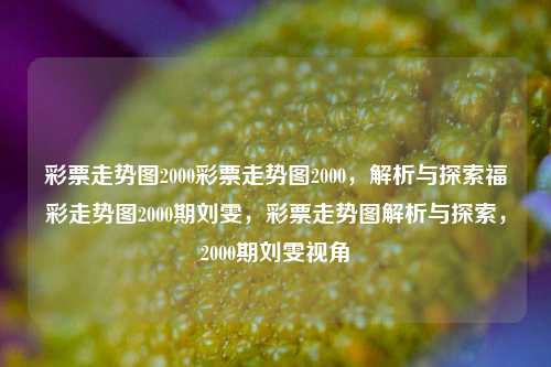 彩票走势图2000彩票走势图2000，解析与探索福彩走势图2000期刘雯，彩票走势图解析与探索，2000期刘雯视角