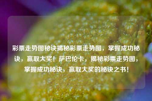 彩票走势图秘诀揭秘彩票走势图，掌握成功秘诀，赢取大奖！萨巴伦卡，揭秘彩票走势图，掌握成功秘诀，赢取大奖的秘诀之书！