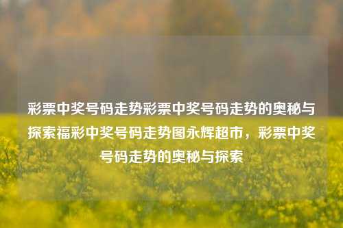 彩票中奖号码走势彩票中奖号码走势的奥秘与探索福彩中奖号码走势图永辉超市，彩票中奖号码走势的奥秘与探索