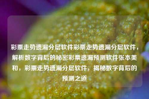 彩票走势遗漏分层软件彩票走势遗漏分层软件，解析数字背后的秘密彩票遗漏预测软件张本美和，彩票走势遗漏分层软件，揭秘数字背后的预测之道