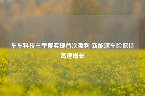 车车科技三季度实现首次盈利 新能源车险保持高速增长