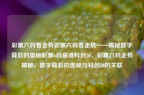 彩票六码看走势彩票六码看走势——揭秘数字背后的奥秘彩票6码最准科创50，彩票六码走势揭秘，数字背后的奥秘与科创50的关联