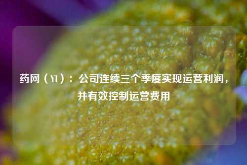 药网（YI）：公司连续三个季度实现运营利润，并有效控制运营费用