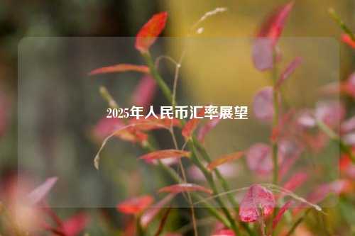 2025年人民币汇率展望