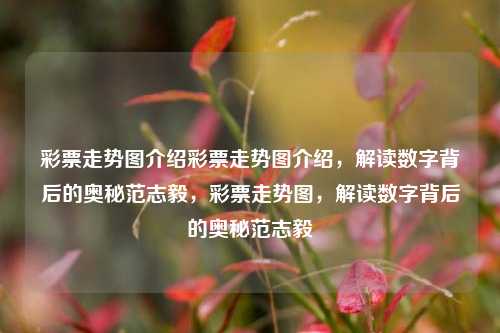 彩票走势图介绍彩票走势图介绍，解读数字背后的奥秘范志毅，彩票走势图，解读数字背后的奥秘范志毅