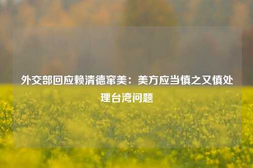 外交部回应赖清德窜美：美方应当慎之又慎处理台湾问题