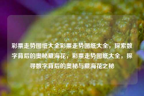 彩票走势图纸大全彩票走势图纸大全，探索数字背后的奥秘藏海花，彩票走势图纸大全，探寻数字背后的奥秘与藏海花之秘