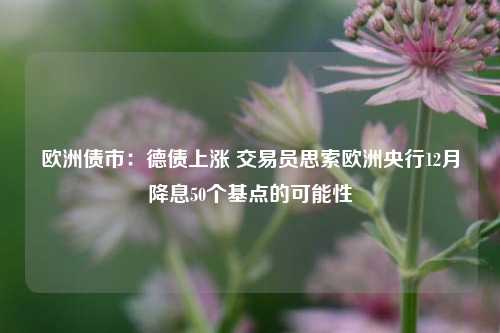 欧洲债市：德债上涨 交易员思索欧洲央行12月降息50个基点的可能性