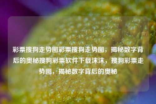 彩票搜狗走势图彩票搜狗走势图，揭秘数字背后的奥秘搜狗彩票软件下载沫沫，搜狗彩票走势图，揭秘数字背后的奥秘