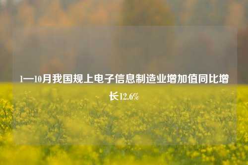 1—10月我国规上电子信息制造业增加值同比增长12.6%